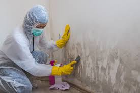 Best Mold Prevention Services  in Stanton, CA